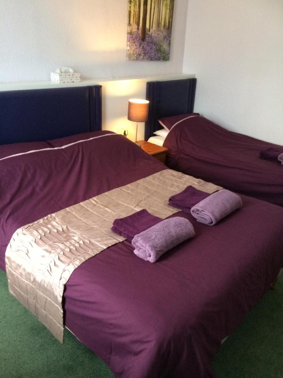 פיינטון The Haldon Guest House מראה חיצוני תמונה